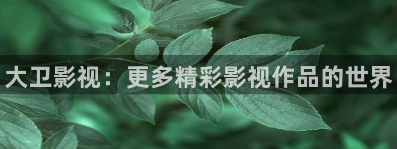 美丽小蜜桃影视：大卫影视：更多精彩影视作品的世界