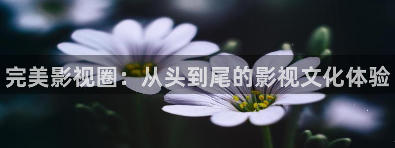 蜜桃33d电影在线观看：完美影视圈：从头到尾的影视文化体验