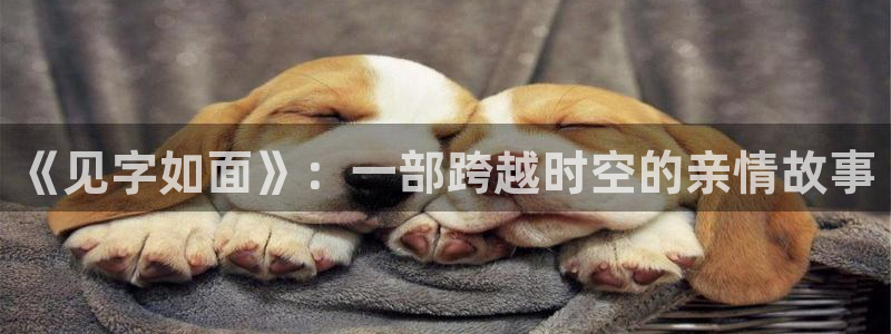 蜜桃成熟时1997完整版视频：《见字如面》：一部跨越时空的亲情故事