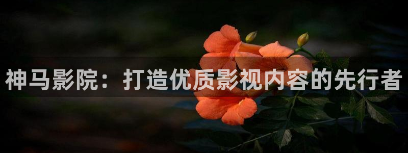 蜜桃精品免费久久久久影院|：神马影院：打造优质影视内容的先行者