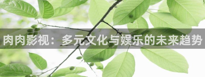 青草蜜桃视频在线观看：肉肉影视：多元文化与娱乐的未来趋势