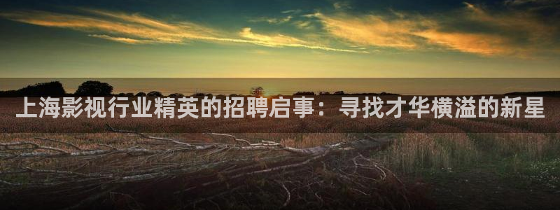 蜜桃色电影网：上海影视行业精英的招聘启事：寻找才华横溢的新星