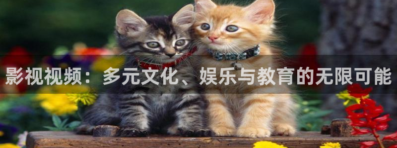 蜜桃在线观看电影：影视视频：多元文化、娱乐与教育的无限可能